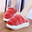 47768231346498|47768231379266|47768231412034